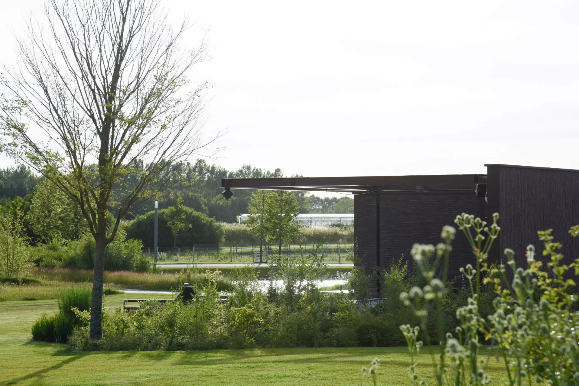 NOA (Residential)